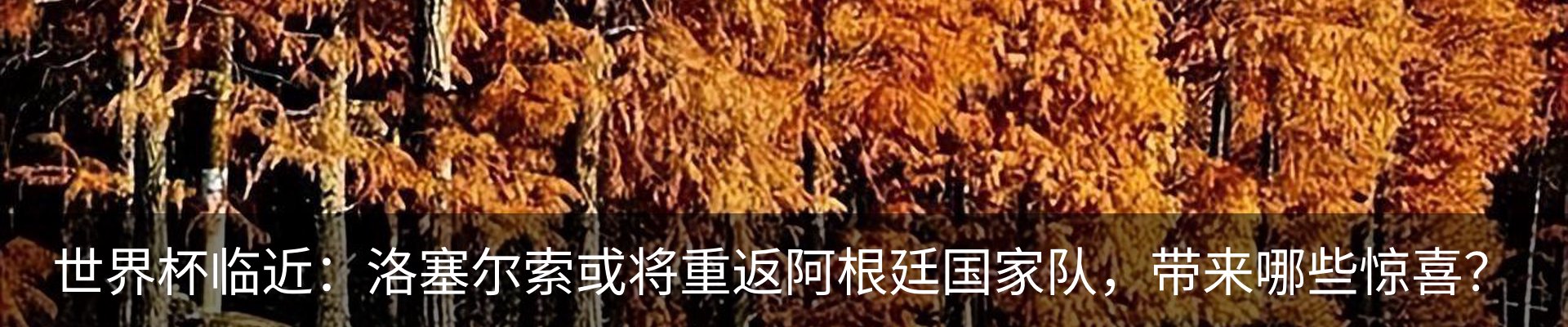 最新动态