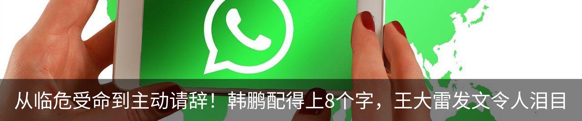 最新动态