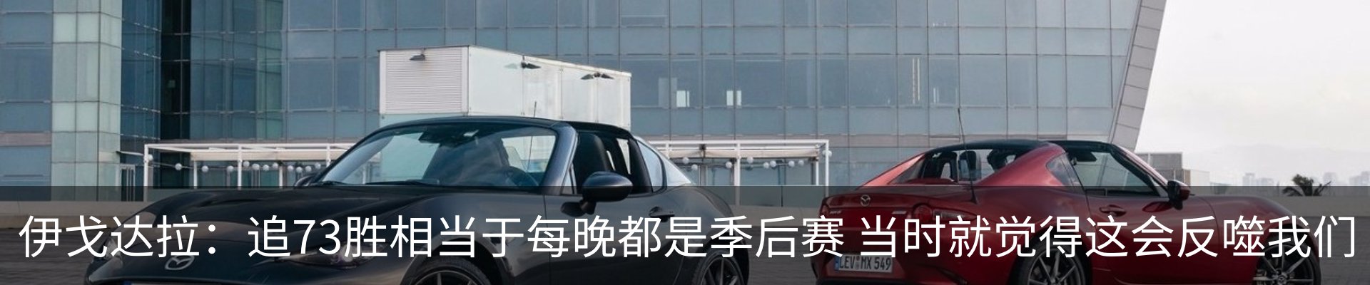 最新动态