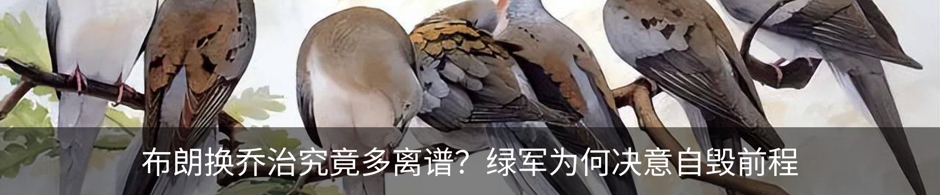 最新动态