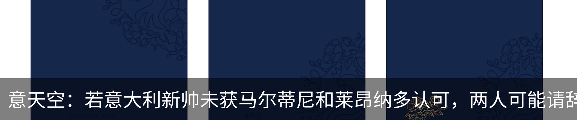 最新动态