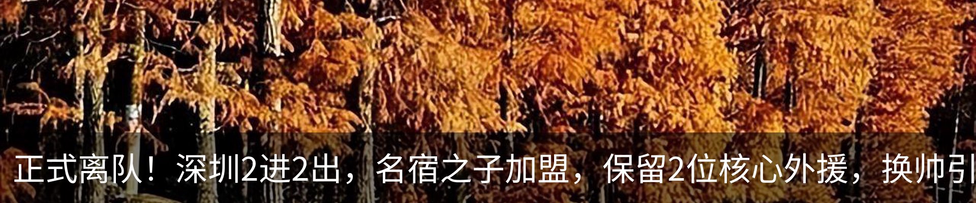 最新动态