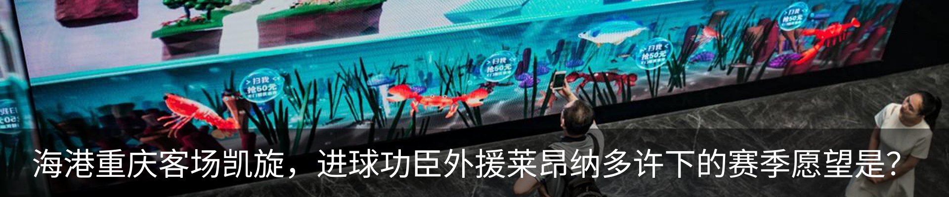 最新动态