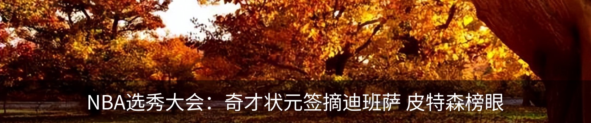 最新动态