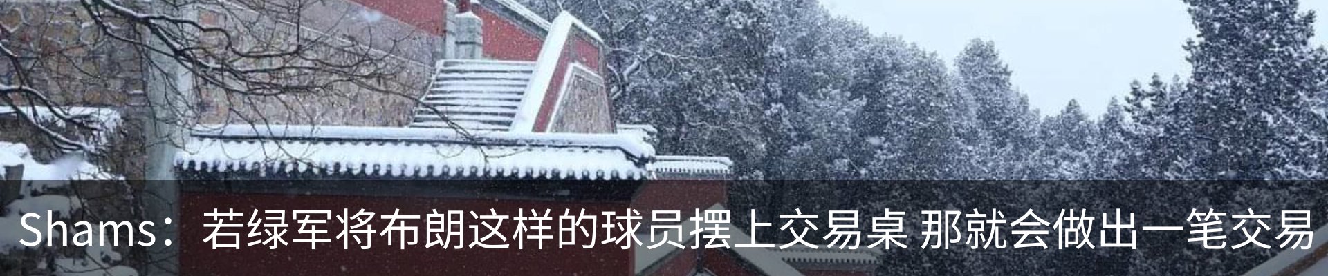最新动态